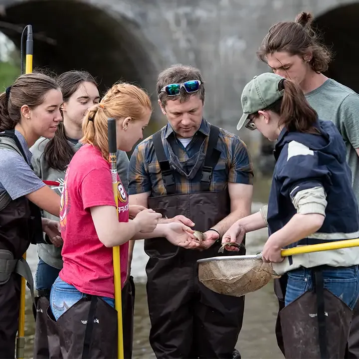 People wearing wading trousers by a river holding fish caught by small nets.